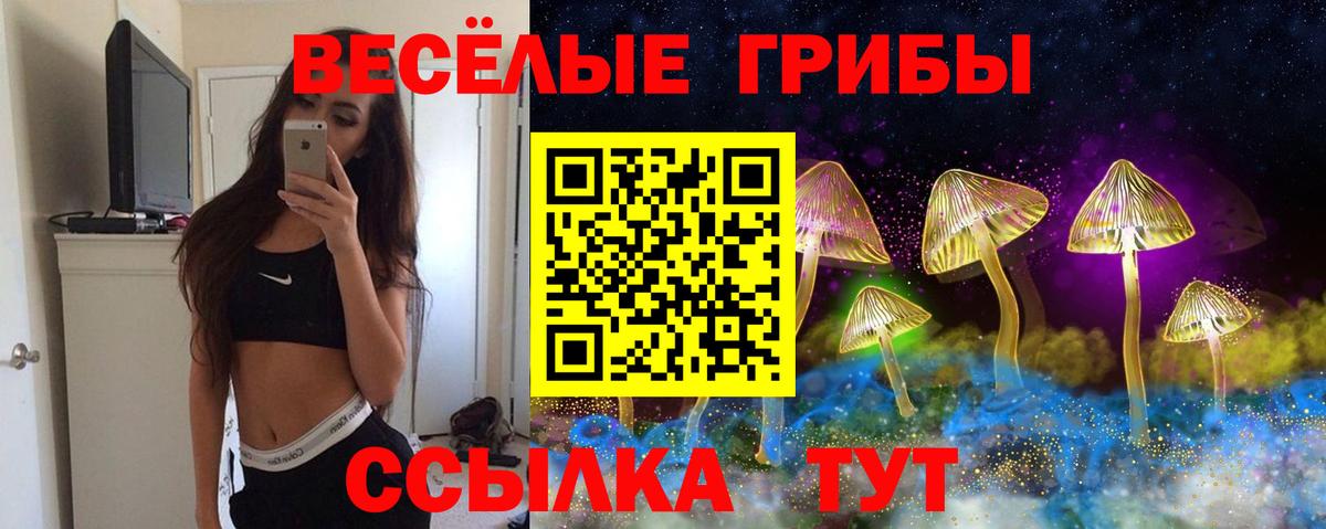Псилоцибиновые грибы ЛСД Вичуга
